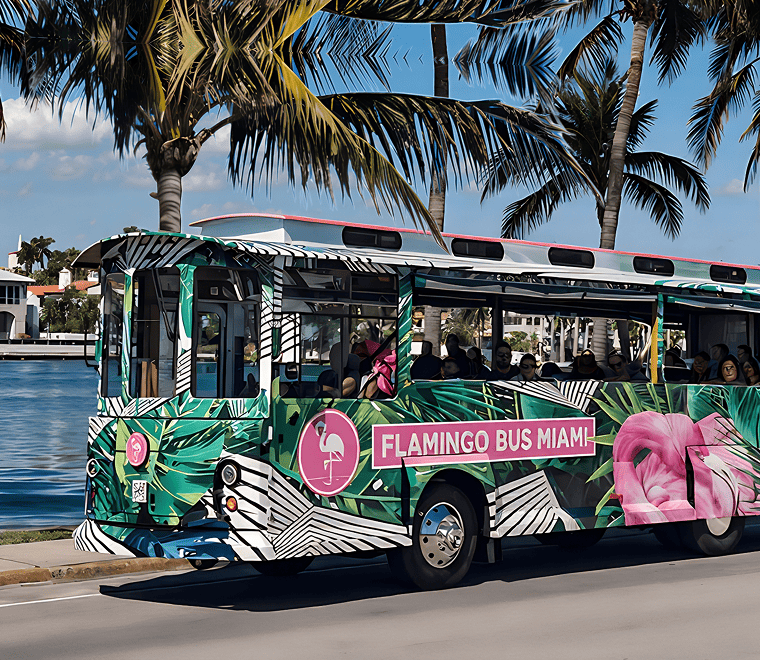 Miami Tour Bus