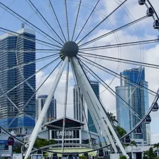 Flamingo Bus Miami Tours