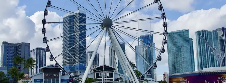 Flamingo Bus Miami Tours